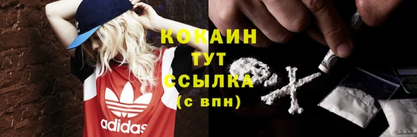 стаф Белокуриха