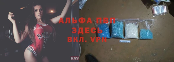 стаф Белокуриха