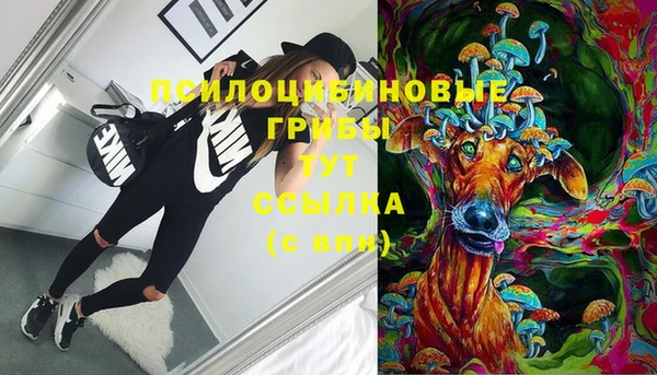 стаф Белокуриха