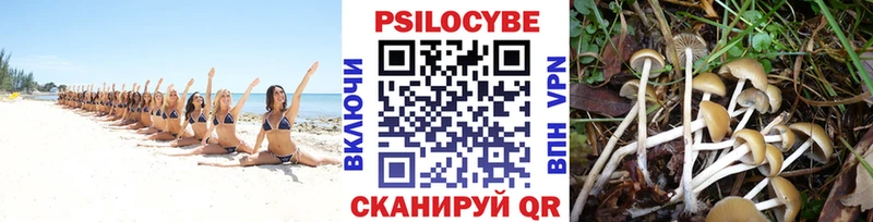 даркнет сайт  Кубинка  Псилоцибиновые грибы мицелий 